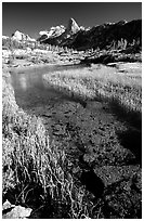 Stream and Finn Dome. Kings Canyon National Park ( black and white)