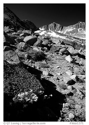 Mountains near Sawmill Pass, morning. Kings Canyon National Park (black and white)