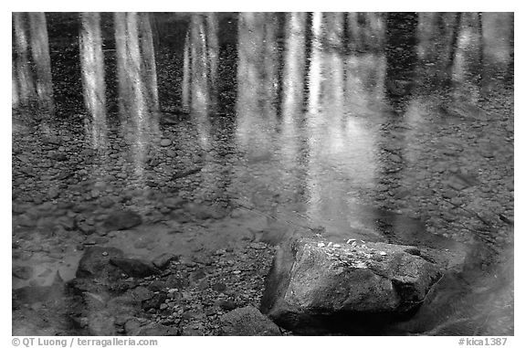 Reflections in Cedar Grove. Kings Canyon National Park (black and white)