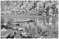 Lake and tree reflections, Lower Dusy Basin. Kings Canyon National Park ( black and white)