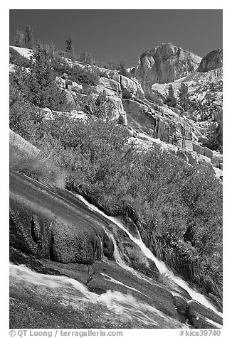 Waterfall, wildflowers and mountains, Le Conte Canyon. Kings Canyon National Park (black and white)