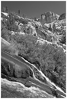 Waterfall, wildflowers and mountains, Le Conte Canyon. Kings Canyon National Park ( black and white)