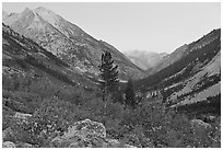 Looking south in Le Conte Canyon at dusk. Kings Canyon National Park ( black and white)
