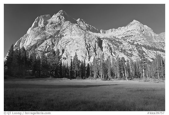 Langille Peak from Big Pete Meadow, morning, Le Conte Canyon. Kings Canyon National Park (black and white)