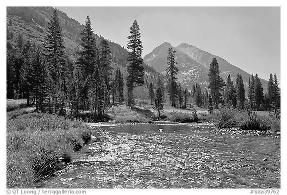 Glistening waters in middle Fork of the Kings River, Le Conte Canyon. Kings Canyon National Park (black and white)