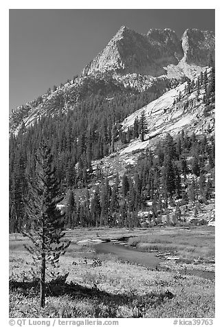 The Citadel rising above Le Conte Canyon. Kings Canyon National Park (black and white)