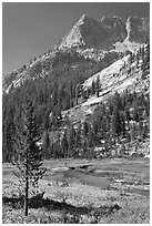 The Citadel rising above Le Conte Canyon. Kings Canyon National Park ( black and white)