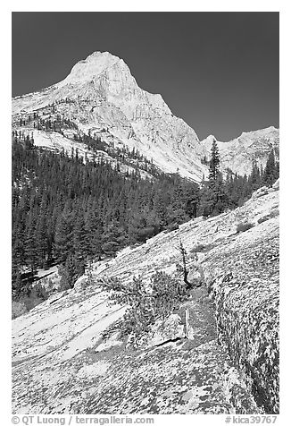 Langille Peak and Granite slab in Le Conte Canyon. Kings Canyon National Park (black and white)