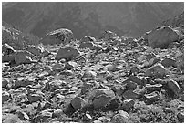 Boulders in meadow above Le Conte Canyon. Kings Canyon National Park ( black and white)