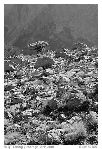 Boulders in meadow and Le Conte Canyon walls. Kings Canyon National Park (black and white)