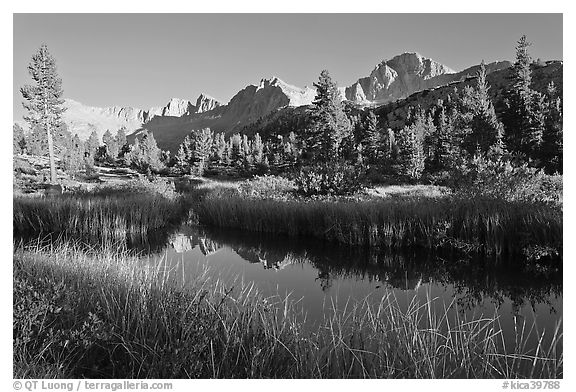 Mountains reflected in calm creek, late afternoon, Lower Dusy basin. Kings Canyon National Park (black and white)