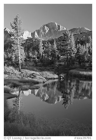 Trees and mountains reflected in calm creek, Lower Dusy basin. Kings Canyon National Park (black and white)