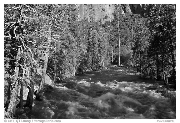 Roaring River in the spring. Kings Canyon National Park (black and white)