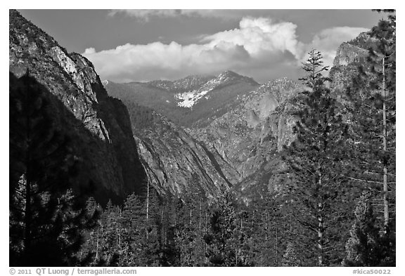 U shape of Kings Canyon seen from Canyon Viewpoint. Kings Canyon National Park (black and white)