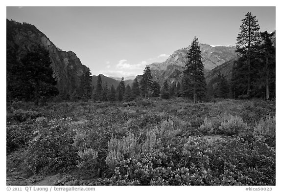 Meadow and cliffs at sunset, Cedar Grove. Kings Canyon National Park (black and white)