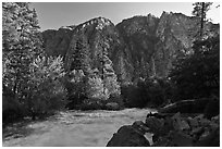 Rushing river and trees, and cliff in spring. Kings Canyon National Park ( black and white)