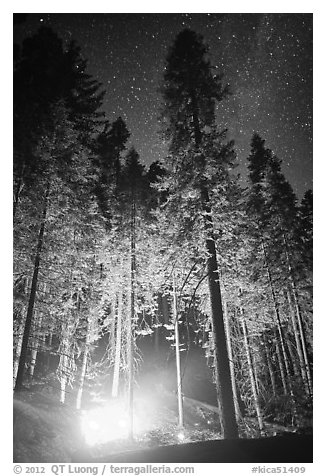 Fire amongst the sequoias, and starry sky. Kings Canyon National Park (black and white)