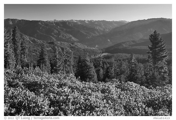 View over Hume Lake and Sierra Nevada from Panoramic Point. Kings Canyon National Park (black and white)