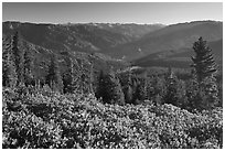 View over Hume Lake and Sierra Nevada from Panoramic Point. Kings Canyon National Park, California, USA. (black and white)