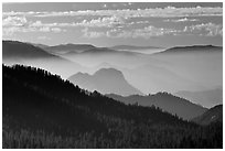 Distant sequoia forest and ridges. Kings Canyon National Park ( black and white)