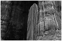 Opening created by fire at base of sequoia tree. Kings Canyon National Park ( black and white)