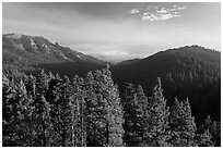 Redwood Mountain valley. Kings Canyon National Park ( black and white)