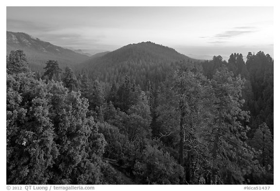 Redwood Canyon from above, sunset. Kings Canyon National Park (black and white)
