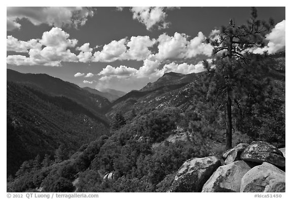 Canyon of the Kings River from Cedar Grove Overlook. Kings Canyon National Park (black and white)