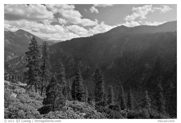 Cedar Grove valley seen from North Rim. Kings Canyon National Park (black and white)