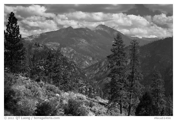 Peaks and trees from Cedar Grove rim. Kings Canyon National Park (black and white)