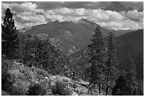 Peaks and trees from Cedar Grove rim. Kings Canyon National Park ( black and white)