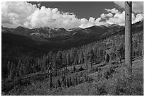Monarch Divide. Kings Canyon National Park ( black and white)