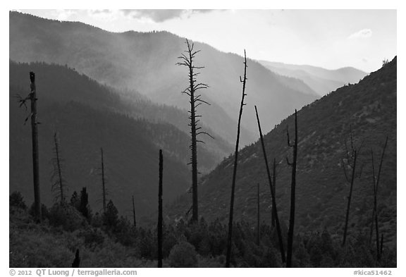 Backlit South Forks of the Kings River canyon. Kings Canyon National Park (black and white)