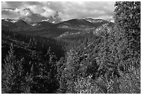 Kennedy Mountain above Lewis Creek. Kings Canyon National Park ( black and white)