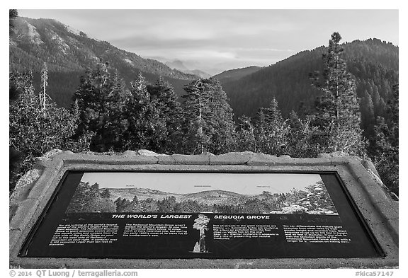 Interpretive sign, Redwood Mountain. Kings Canyon National Park (black and white)