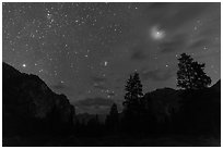 Trees and cliffs at night, Cedar Grove. Kings Canyon National Park ( black and white)