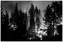 Forest fire. Kings Canyon National Park ( black and white)