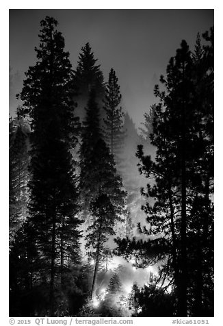 Control burn. Kings Canyon National Park (black and white)