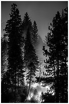 Control burn. Kings Canyon National Park ( black and white)