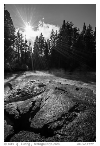 Meadow and sun see from top of Mark Twain Stump. Kings Canyon National Park (black and white)