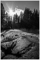 Meadow and sun see from top of Mark Twain Stump. Kings Canyon National Park ( black and white)