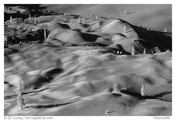 Painted dunes and pine trees. Lassen Volcanic National Park (black and white)