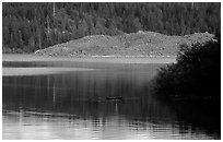 Butte Lake. Lassen Volcanic National Park, California, USA. (black and white)
