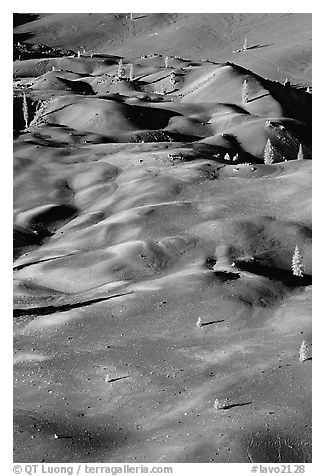 Painted dunes and pine trees. Lassen Volcanic National Park (black and white)