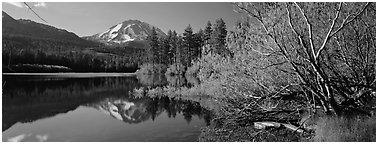 Lassen Peak reflections in the spring. Lassen Volcanic National Park (Panoramic black and white)