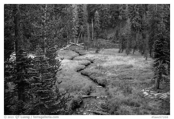 Kings Creek, meadow and forest. Lassen Volcanic National Park (black and white)