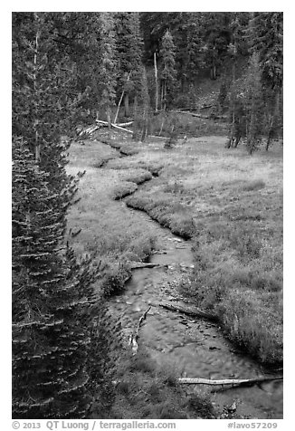 Kings Creek in meadow, late summer. Lassen Volcanic National Park (black and white)