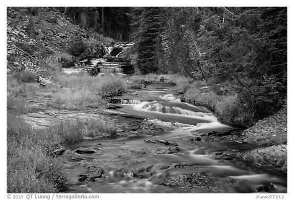Kings Creek cascades in forest. Lassen Volcanic National Park (black and white)