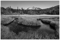 Stream meandering in Upper Meadow. Lassen Volcanic National Park ( black and white)