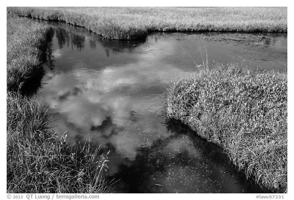 Cloud reflected in Kings Creek. Lassen Volcanic National Park (black and white)
